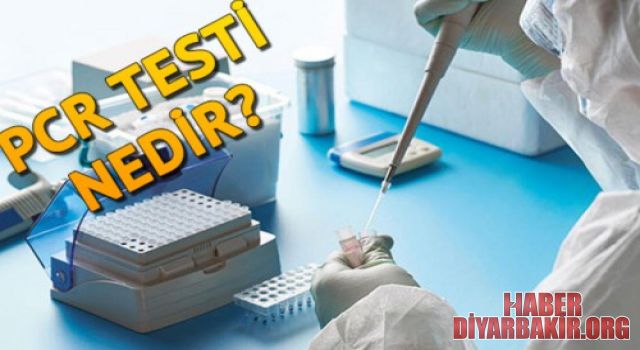 PCR Testi Nedir