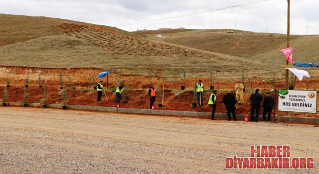 Siirt İçin Fidanlar Toprakla Buluştu