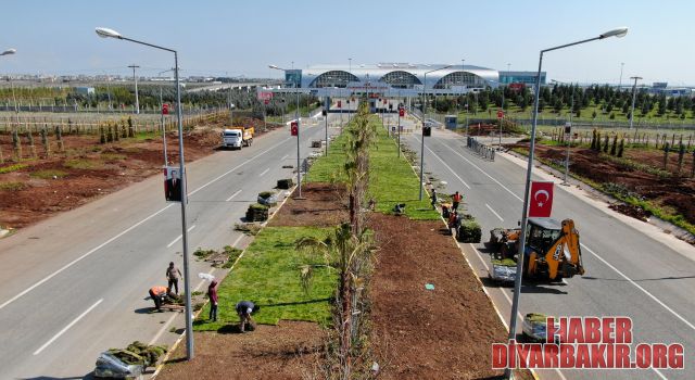 Konuklarımızı Doğanın Güzellikleriyle Karşılanacağız