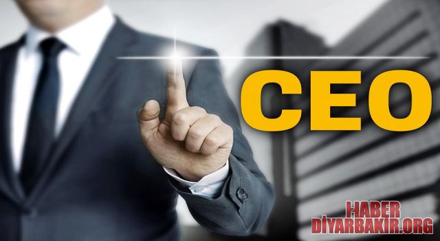 CEO Nedir..?