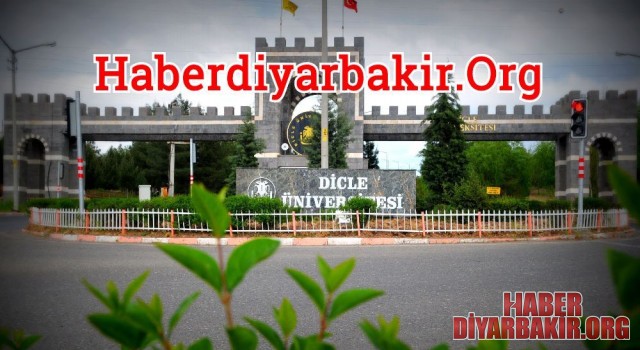 Akademik Yükseltme Ve Cübbe Giyme Töreni Yapıldı