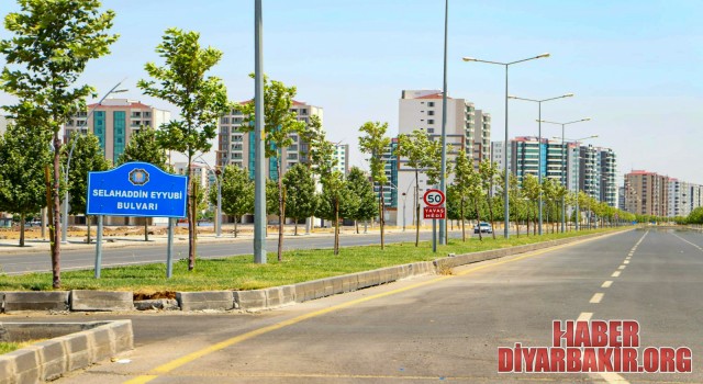 Daha Yeşil Bir Diyarbakır İçin 60 Bin Ağaç Dikilecek