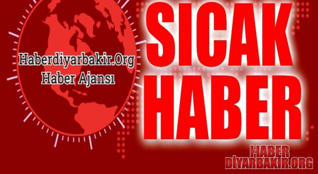 Diyarbakır'da ‘Koyunlar' Operasyonu 35 Gözaltı