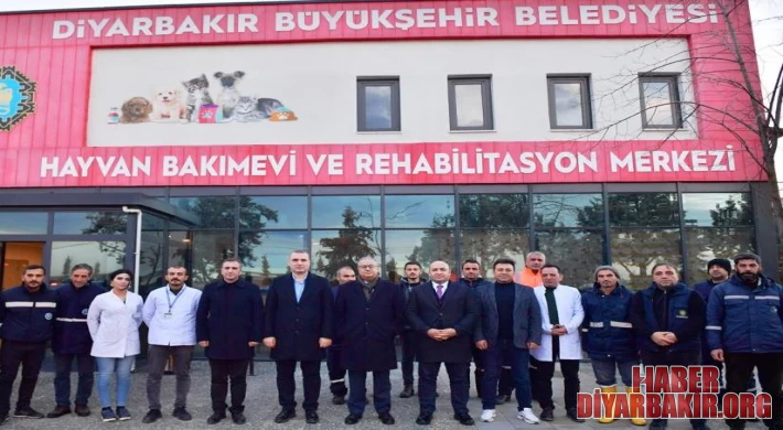 Diyarbakır Valisi Hayvan Bakımevinde İncelemede Bulundu