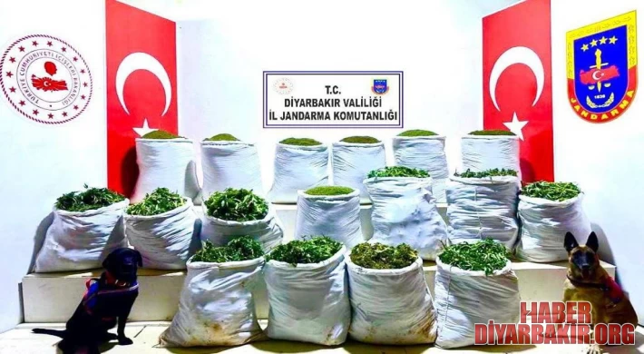 285 Kilogram Esrar Ele Geçirildi