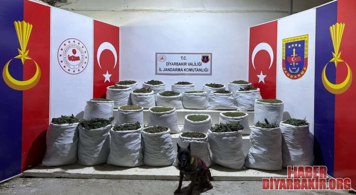 Uyuşturucu Operasyonunda 603 Kilogram Esrar Ele Geçirildi