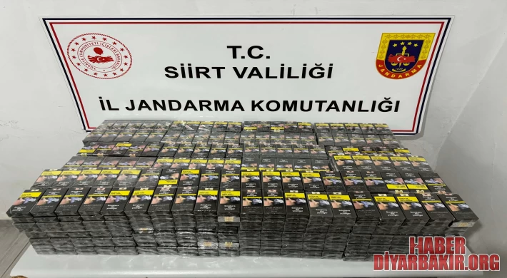 Siirt'te Jandarma Operasyonu