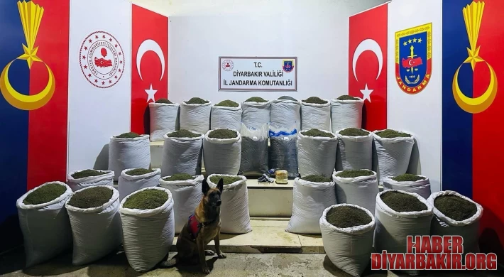 611 Kilo Esrar Yakalandı