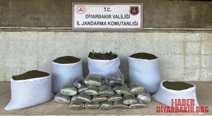 173 Kilo Esrar Ele Geçirildi