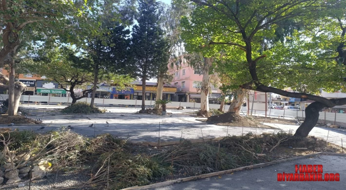 DBB Hatay Samandağ’da Dayanışma Amacıyla Park Yapıyor
