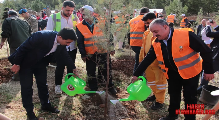 DEPSAŞ Enerji’den Makam Dağı’na 3 Bin Fidanlık Yeşil Dokunuş