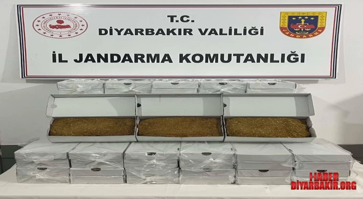 Dev Kaçakçılık Operasyonu