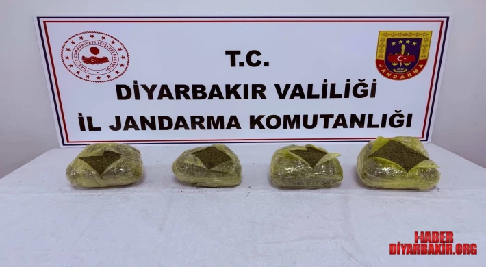 Uyuşturucu Operasyonlarında 28 Kilo Esrar Ele Geçirildi