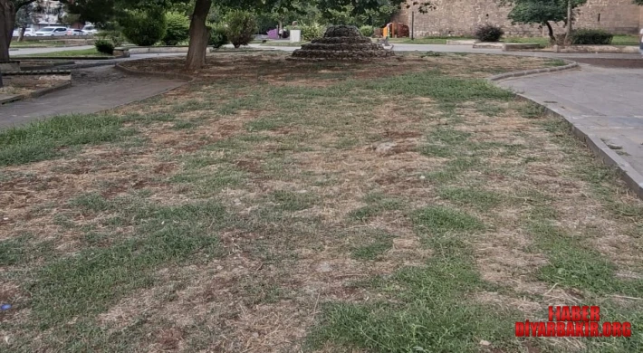 Diyarbakır Surları Çevresindeki Yeşil Alanlar Bakımsızlığa Teslim