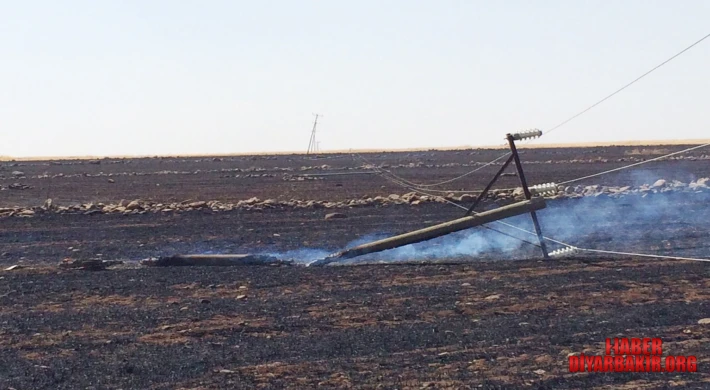 Dicle Elektrik’ten Anız Yangınlarına Karşı Sürdürülebilirlik Çağrısı
