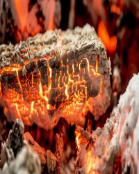 Ali Şeran War And Photo Reporter