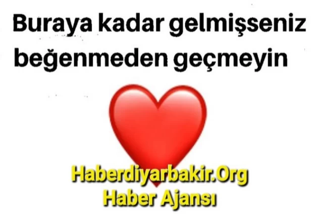 Bir Yolculuk Hikayesi