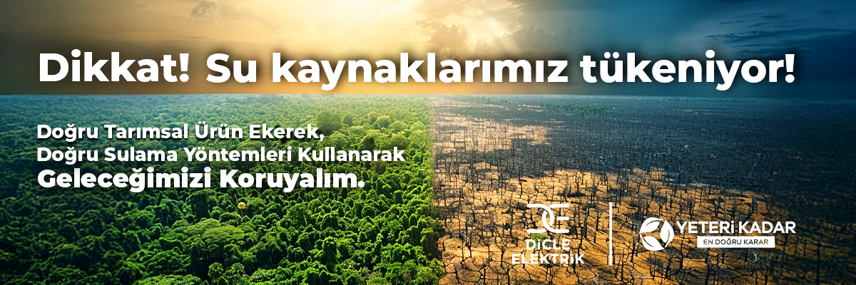 tedaş 1