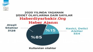 2020 “ Türkiye”nin Silahlı Şiddet Haritası”