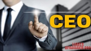 CEO Nedir..?