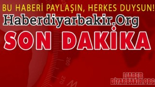 Diyarbakır Emniyeti Kapkaççılara Göz Açtırmıyor