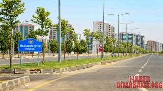 Daha Yeşil Bir Diyarbakır İçin 60 Bin Ağaç Dikilecek