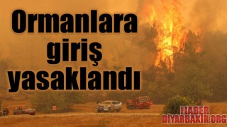 Siirt’te Ormanlık Alanlara Giriş Yasaklandı