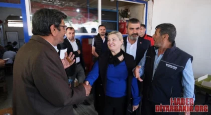 CHP Diyarbakır Çalışmalarına Hız Kesmeden Devam Ediyor