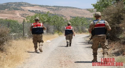 Fıstık Hırsızlığına Termal Kameralı Dronla Denetim Yapıyor