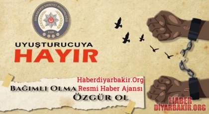 Diyarbakır'da Esrar Ve Kök Esrar Bitkisi Ele Geçirildi