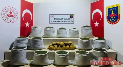 381 Kilo Toz Esrar Ele Geçirildi