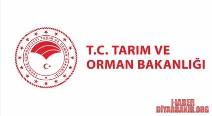 Çiftçilere 445 Milyon Liralık Tarımsal Destek Ödemesi Yapılıyor