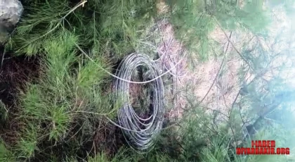 Şanlıurfa’da Direk Hırsızları Bölgeyi Elektriksiz Bıraktı