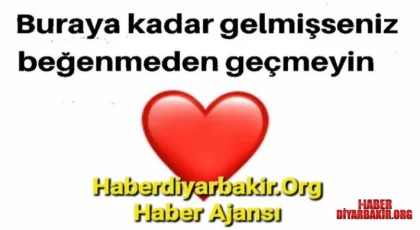 Dicle Üniversitesi Rektörü Diyarbakır’daki Kadın Yazarları Ağırladı