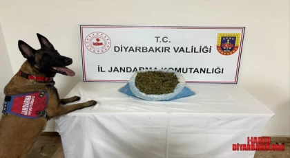 Uyuşturucu Operasyonu 14 Kişi Gözaltına Alındı