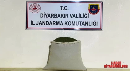 Zehir Tacirlerine Operasyon Çok Sayıda Uyuşturucu Yakalandı