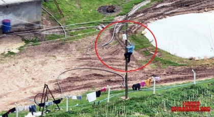 Dicle Elektrikten Kaçak Hatlara Dronlu Tespit