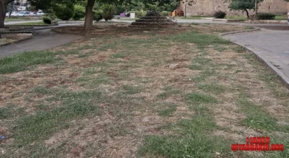 Diyarbakır Surları Çevresindeki Yeşil Alanlar Bakımsızlığa Teslim
