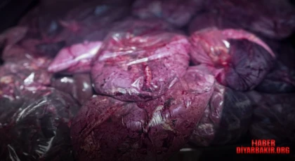 Halk Sağlığını Tehdit Eden 3 Ton Sakatata El Konuldu
