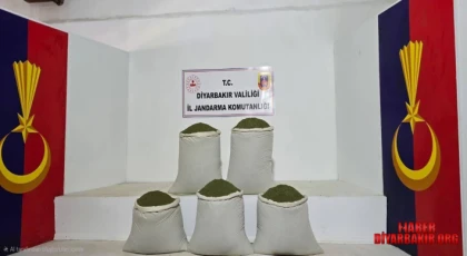 14 Bin Kök Kenevir 129 Kilo Esrar Ele Geçirildi