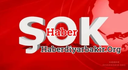 Araçtan Çıkanlar Şaşırttı